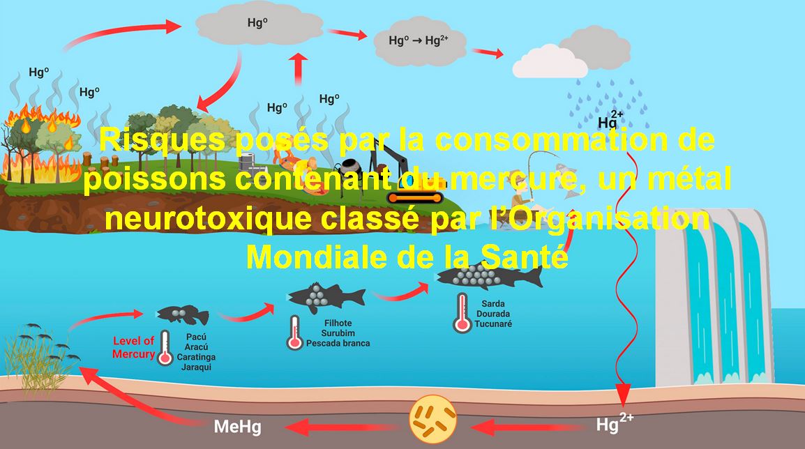 PA 26 pollution au mercure ARS
